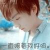 书友17727