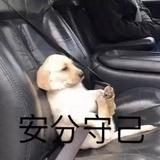 沉舟