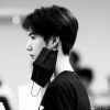 书友37466