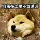 书友49589