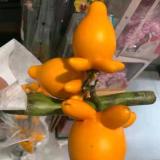 千羽千明