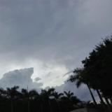 莫笑情怀浅