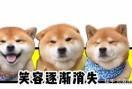 书友76880