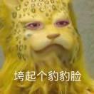 白马弄堂添旺仔