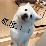 温暖的人儿