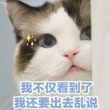 再风中凌乱