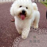 陈东升
