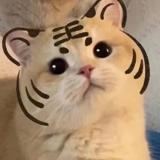 秀man
