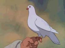 李子苓