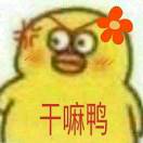 书友80016
