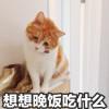 书友11277
