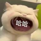 书友68733