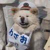 书友31241