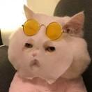 A我是蛇精病V