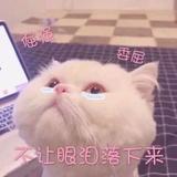 默昊