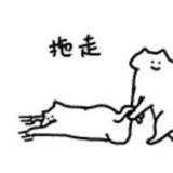 书友53135