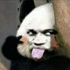 书友88329