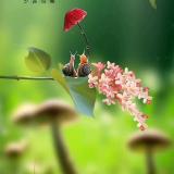 白易一