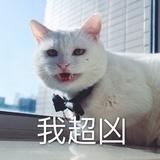 钅榀