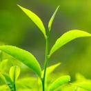 人生路途一起看风景