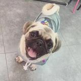 小小的疯狂