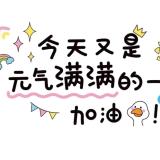 仙女不显