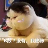 青灯倚书梦