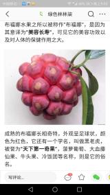 爱吃甜食
