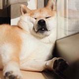 歇馈忧癣陶亩