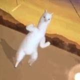 乌龟最近有点忙
