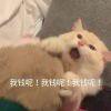 书友75450