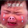 迪士尼在逃臭宝