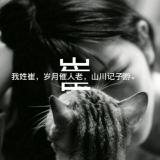 -泪雨、错觉 ~`°