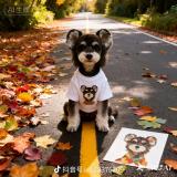 喜欢养狗的九零后