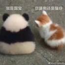 城 南 中