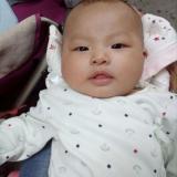 t_1496153836396_0764