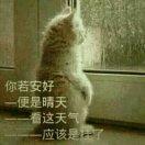 逍遥游