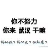 月亮啊月亮