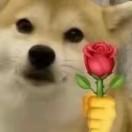 交大