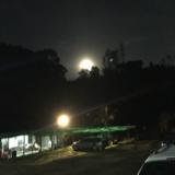 秋天