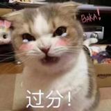 旧梦乱人心。