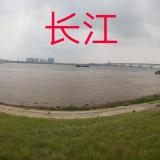 吃瓜子的旁观者