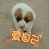 我在此地我去去处