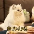 妍沿途