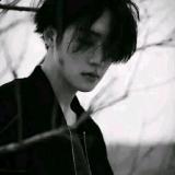 生命是一场狂欢