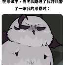 书友17188