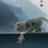 水妄笙