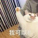 张育欣