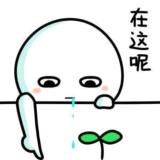 ╰、Mr Fang