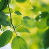 书友91853